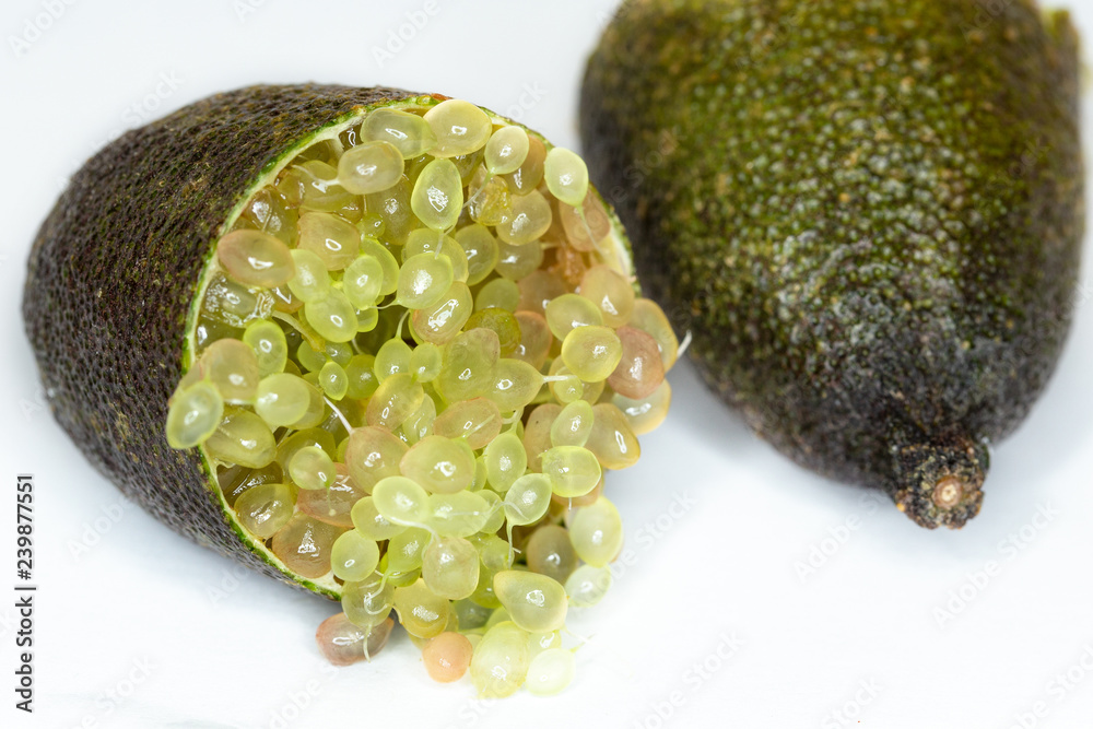 Citron Caviar AUSTRALICE - Fruit