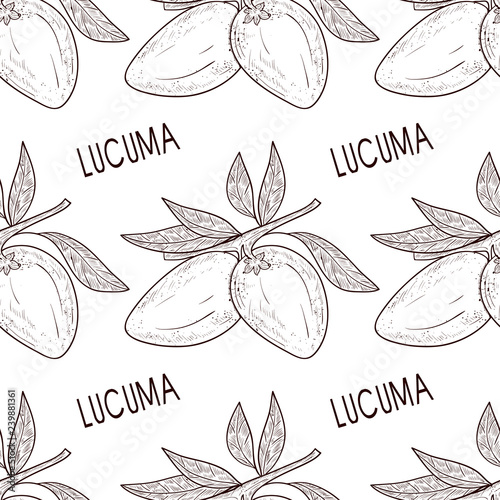 Lucuma. Fruit. Seamless, background, wallpaper, texture. Sketch. Monophonic.