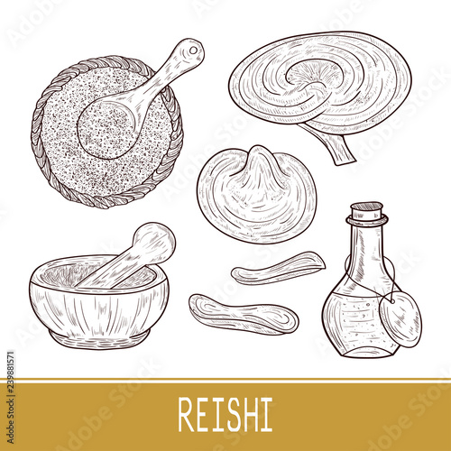Reishi. Mushroom, powder, drink. Set. Sketch. Monophonic.