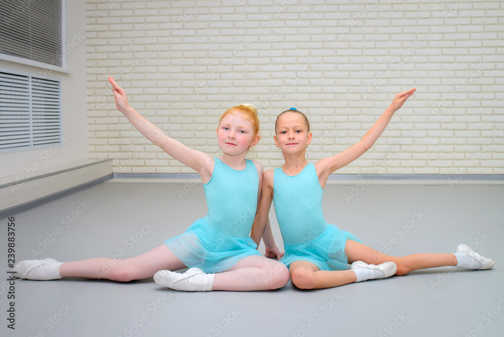 Group of cute little ballet dancers gracefully posing at dance school class. Group of cute little ballet dancers gracefully posing at dance school class.