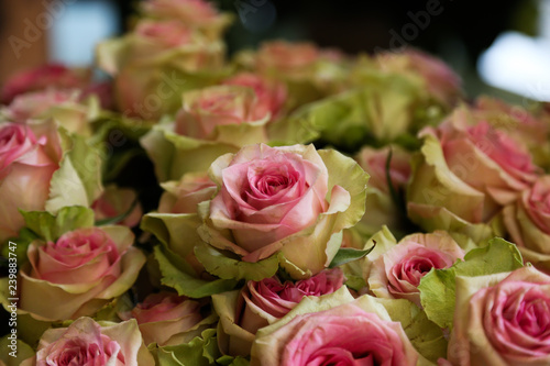 bouquet of green tipped pink roses