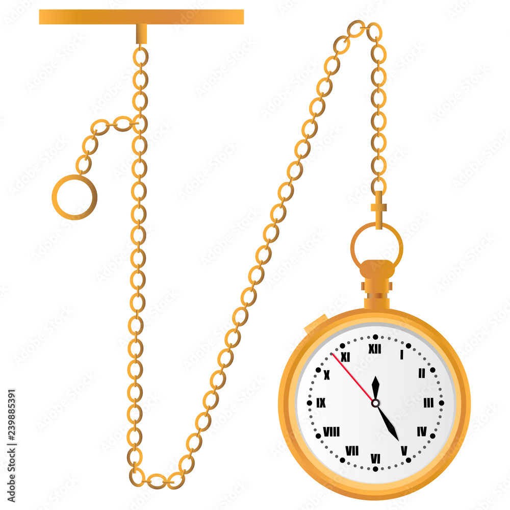 watch on a chain vector
