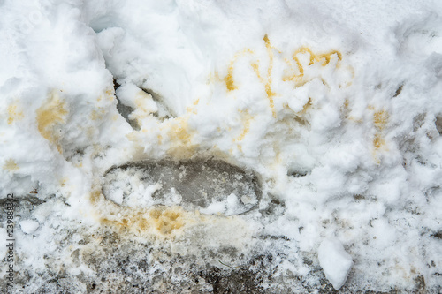 Dog's signature on white snow  © nedomacki