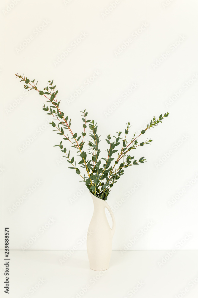 Branches of eucalyptus in vase on table on light background. Home decor. Blog, website or social media concept .