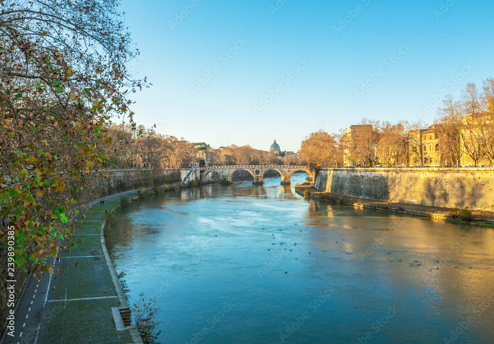 Rome (Italy) - The Tiber river and the monumental Lungotevere. Here in particular the Isola Tiberina island.