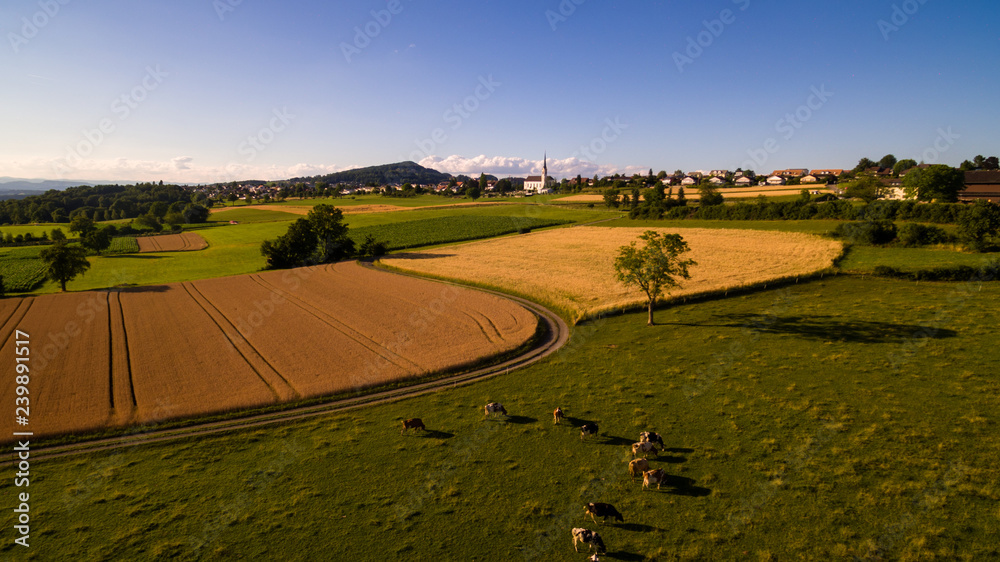 Naklejka premium Landschaft von Oben