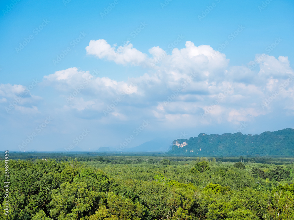 Fototapeta premium sky