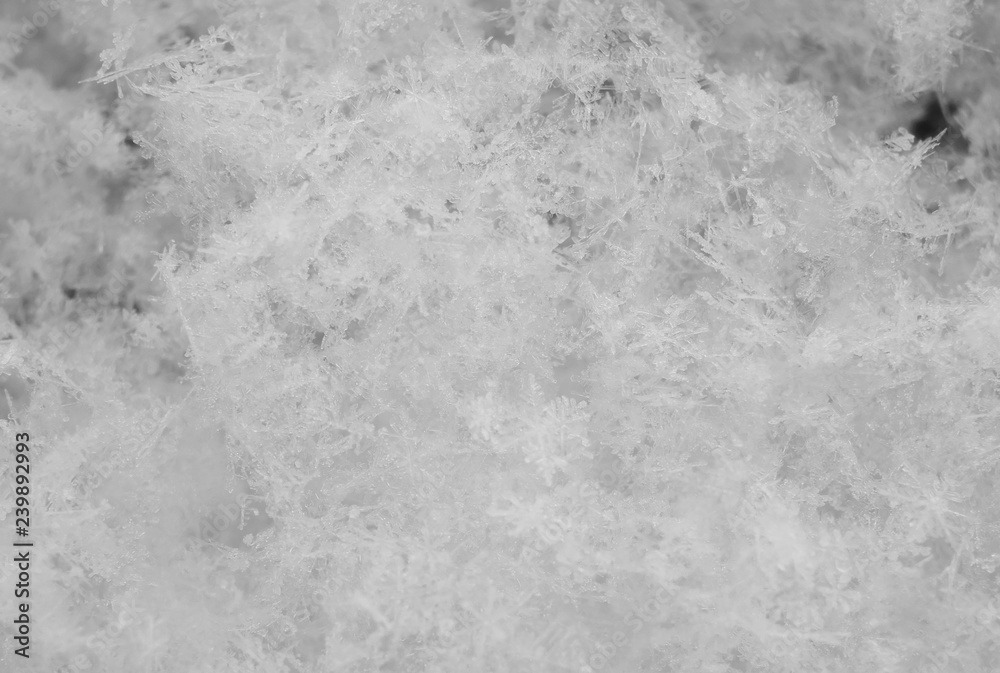 snowflake in the snow, winter background, macro closeup snowflake in the snow, winter background, macro closeup