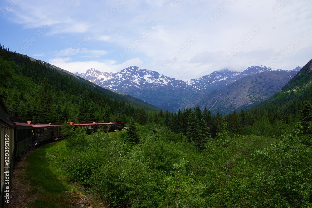 Fototapeta premium Train with mountains 