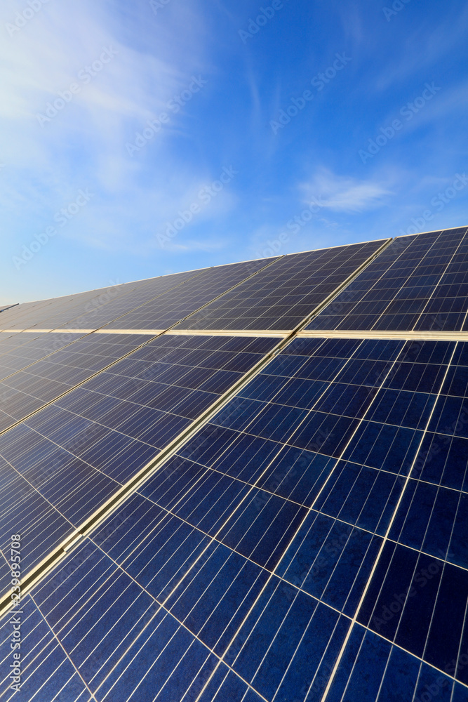 Monocrystalline silicon photovoltaic solar cell panel Monocrystalline silicon photovoltaic solar cell panel