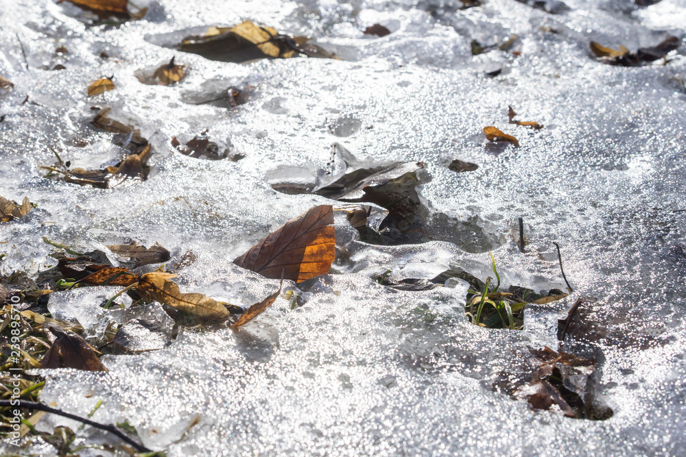 Closeup of melting snow and ice on a meadow Closeup of melting snow and ice on a meadow