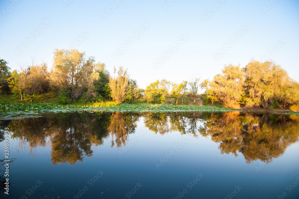 Lake-mirror and trees.