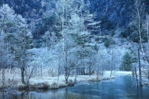 凍てつく田代池の朝 © T.Hasebe
