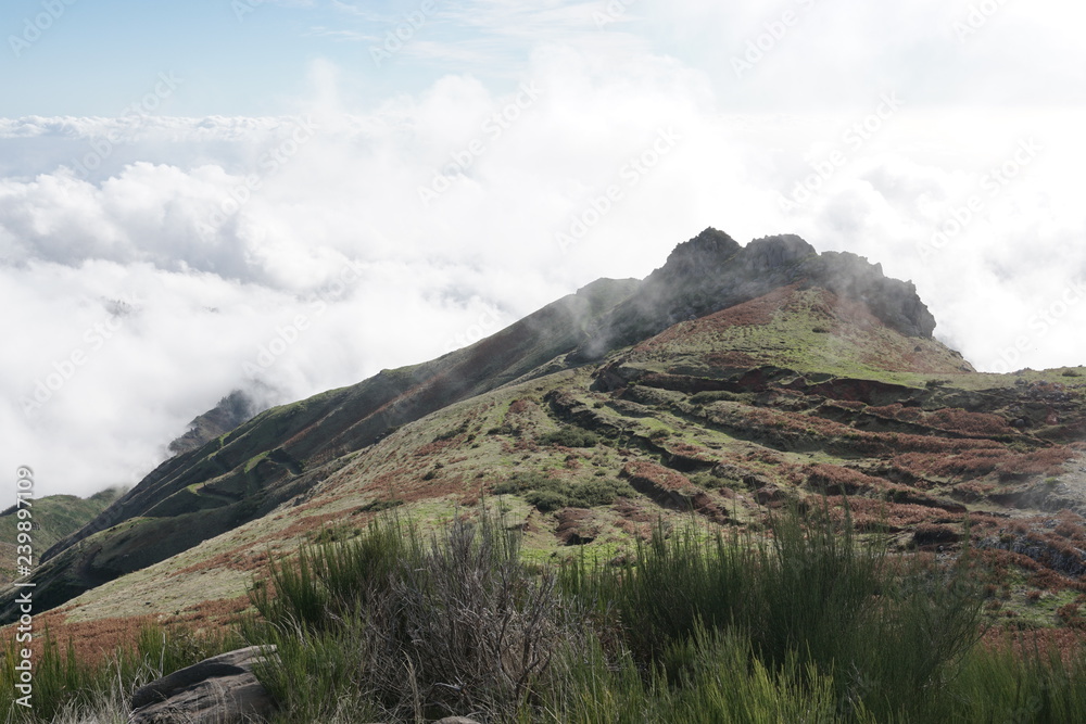 Landschaft Madeira Portugal