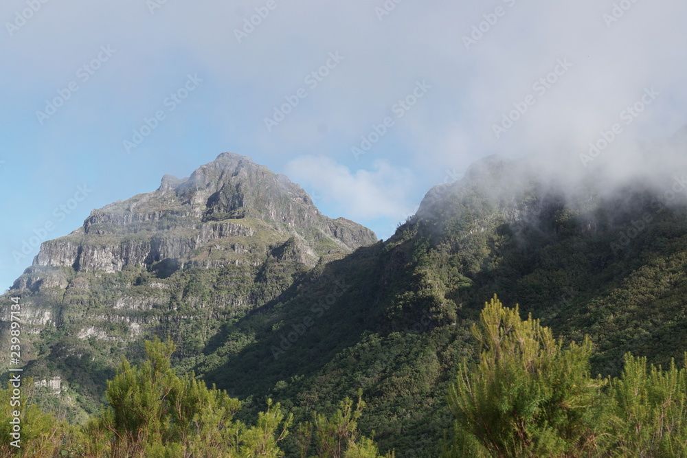 Landschaft Madeira Portugal