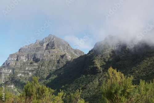 Obraz na płótnie Landschaft Madeira Portugal w salonie