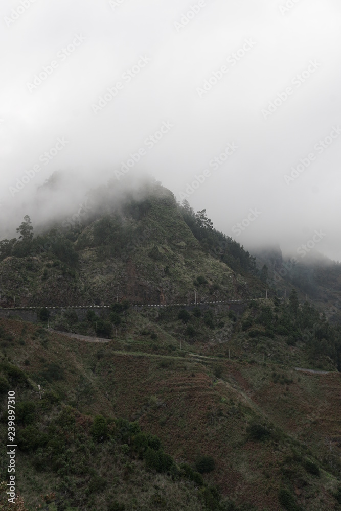 Landschaft Madeira Portugal