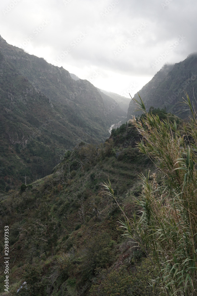 Landschaft Madeira Portugal