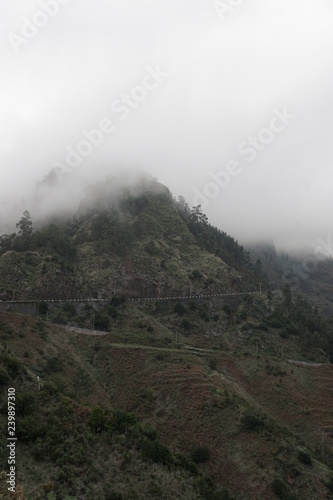 Landschaft Madeira Portugal