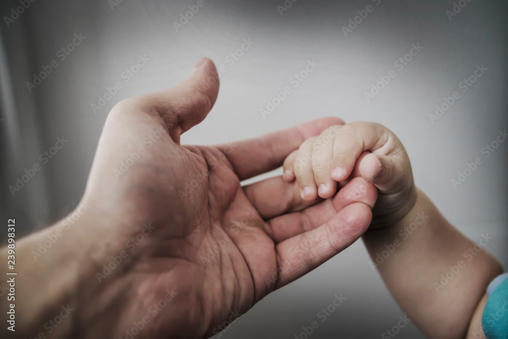 the child's hand in the parent's hand the child's hand in the parent's hand