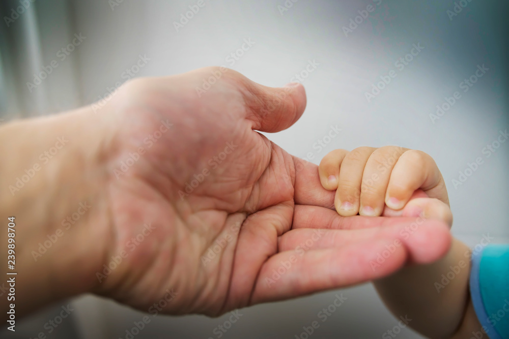 the child's hand in the parent's hand the child's hand in the parent's hand