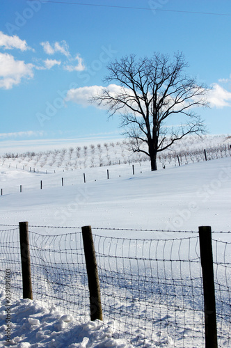 Farmers field in winter