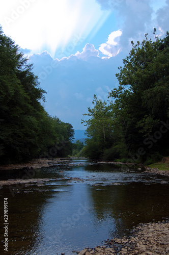 Mountain trout stream