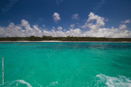 Zanzibar, landscape sea, coral reef