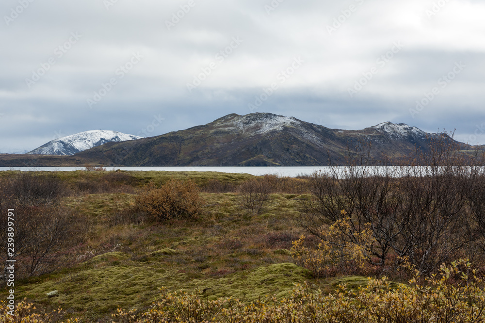 view of lake in abandoned landscape in Iceland, in the background of a snowy mountain