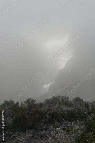 Pico do Areiro Madeira Portugal