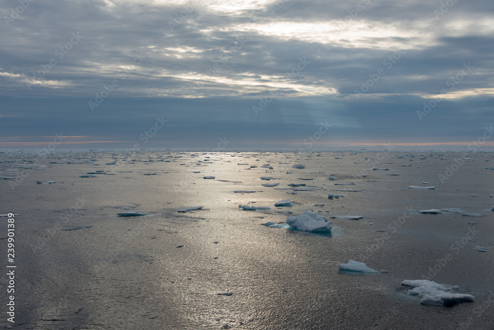 Arctic landscape - sea surface with ice floe