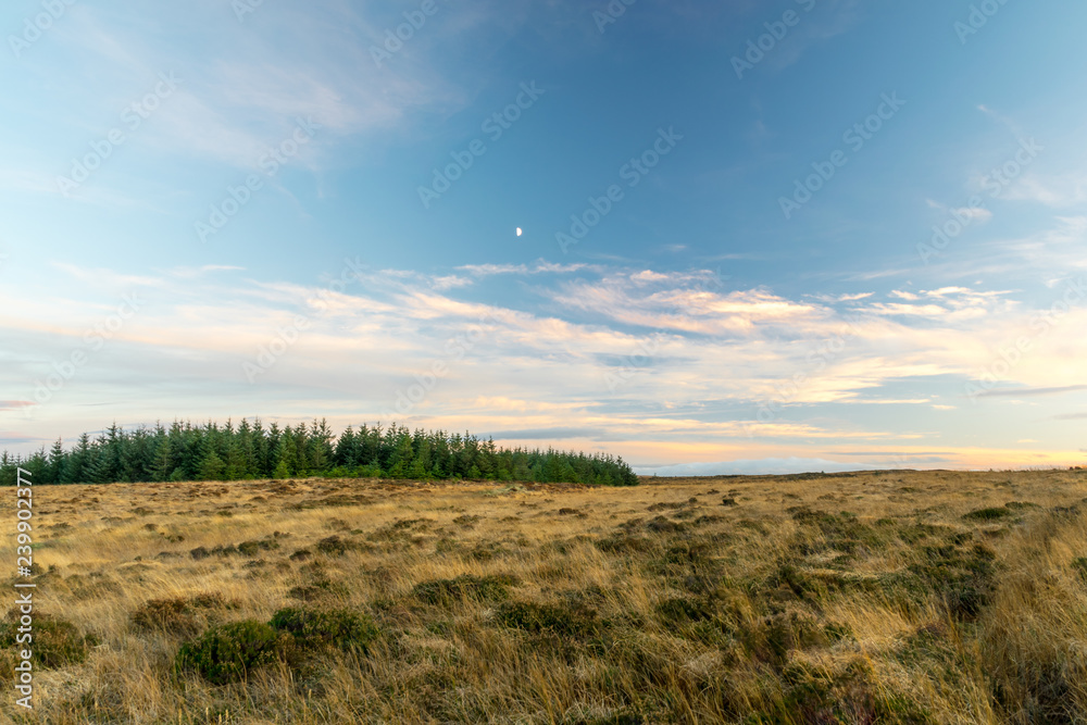 Remote Ireland Landscape