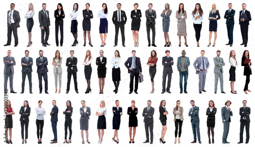 collage of a variety of business people standing in a row photo