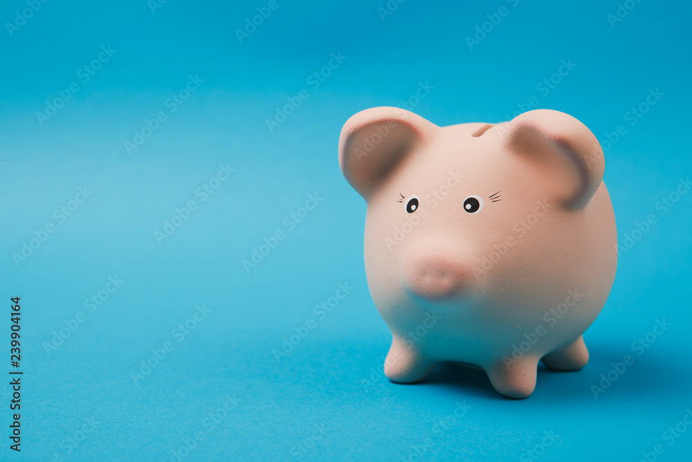 Close up photo of pink piggy money bank isolated on bright blue wall background. Money accumulation, investment, banking or business services, wealth concept. Copy space advertising mock up.