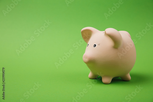 Close up photo side view of pink piggy money bank isolated on bright green wall background. Money accumulation investment, banking or business services, wealth concept. Copy space advertising mock up.