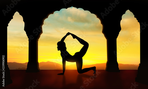 Yoga Tiger – Vyaghrasana photo