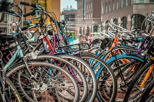 bicycles in holland