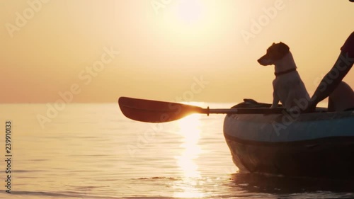 Slow motion young redhead woman in a cap holds a paddle on an inflatable kayak on the calm surface of the sea against the sky and the sun disk in the light of a pink dawn. Dog Jack Russell with float