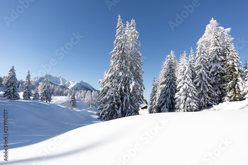 Winter wonderland in high mountains. Picturesque winter scene with traditional alpine chalet and snowy forest. Sunny frosty weather with clear blue sky