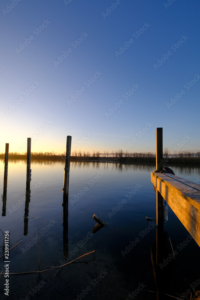 wooden piles sticking out of the water surface at sunrise wooden piles sticking out of the water surface at sunrise