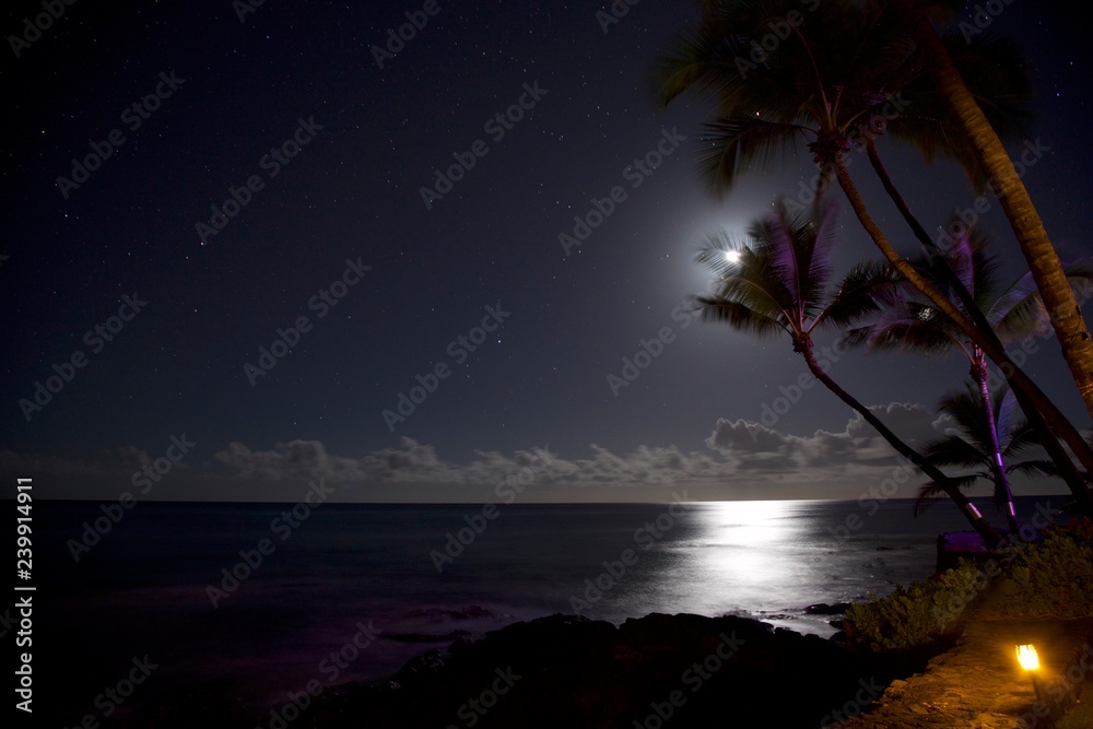 Moonlight Starry Night Ocean