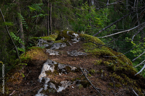 Rocks
