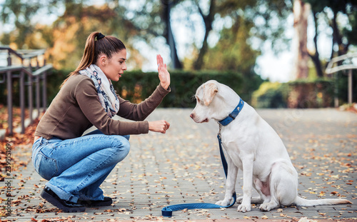 Fotografía Young woman with a dog in the park. Pets and animals concept