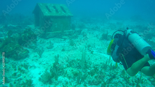 diving at musa mexico