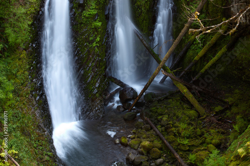 waterfall in the forest