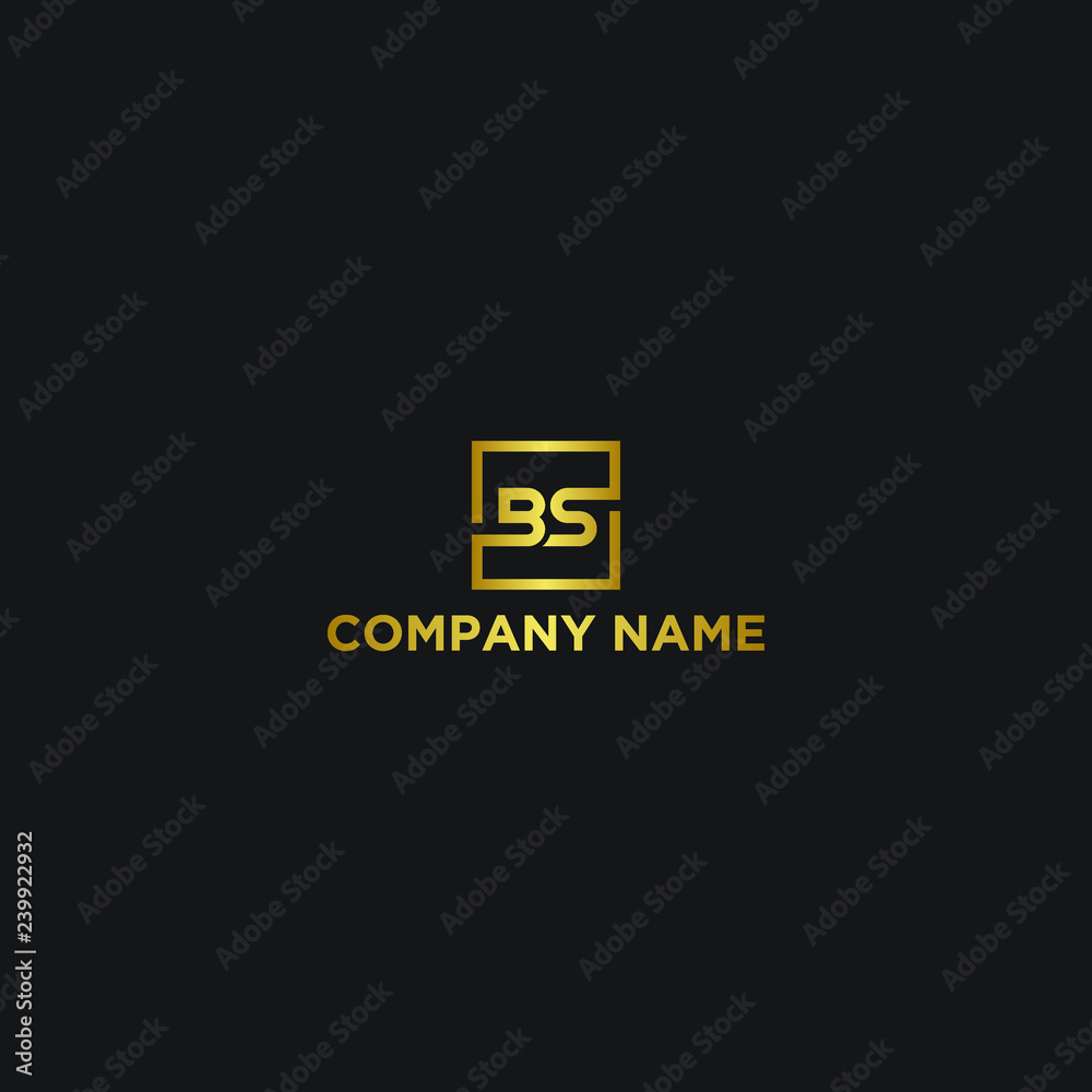 Letter BS Logo Templte
