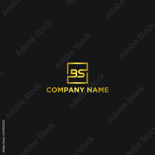 Letter BS Logo Templte