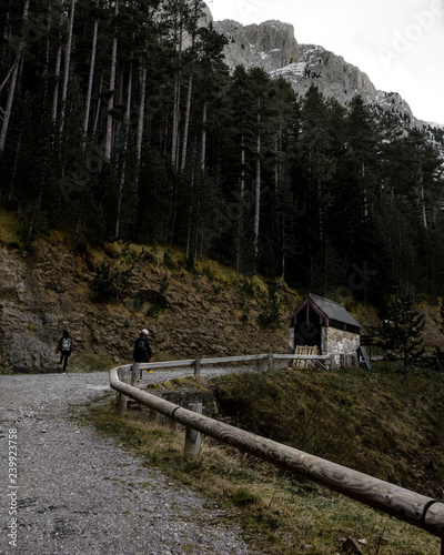 old house in the forest