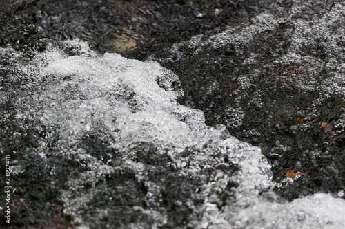 Forest Water Stream Cascading in Plitvice Lakes National Park