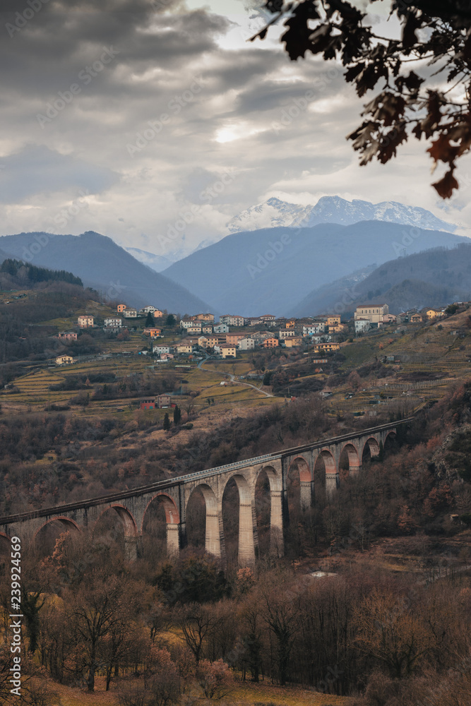 Naklejka premium Ponte lungo
